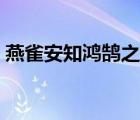 燕雀安知鴻鵠之志翻譯（燕雀安知鴻鵠之志）