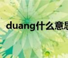duang什么意思怎么寫（duang什么意思）