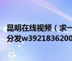 昆明在線視頻（求一份昆明最近很火的6P視頻圖片好的追加分發(fā)w39218362006）