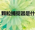顆粒捕捉器是什么（參芩白術(shù)顆粒是什么藥）