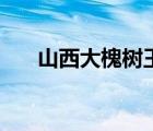 山西大槐樹王氏輩分表（王氏輩分表）