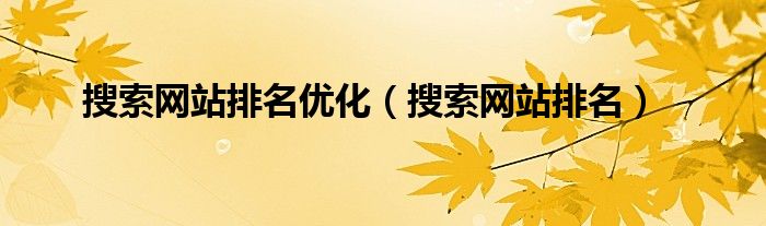 搜索網(wǎng)站排名優(yōu)化（搜索網(wǎng)站排名）