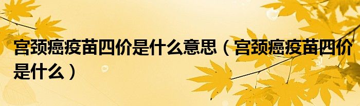 宮頸癌疫苗四價是什么意思（宮頸癌疫苗四價是什么）