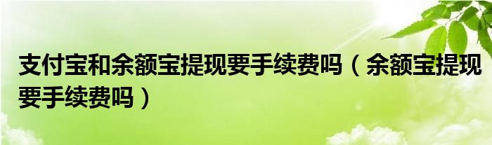 支付寶和余額寶提現(xiàn)要手續(xù)費(fèi)嗎（余額寶提現(xiàn)要手續(xù)費(fèi)嗎）