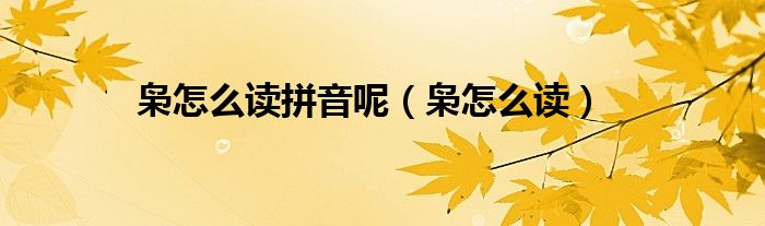 梟怎么讀拼音呢（梟怎么讀）