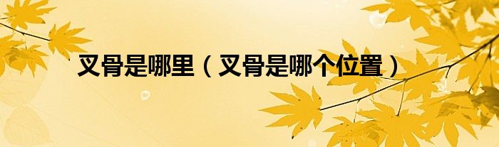 叉骨是哪里（叉骨是哪個(gè)位置）