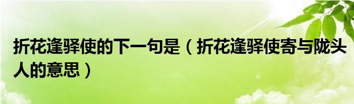 折花逢驛使的下一句是（折花逢驛使寄與隴頭人的意思）