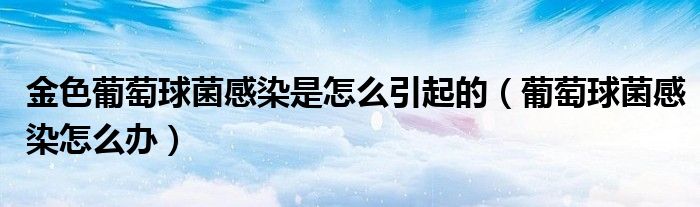 金色葡萄球菌感染是怎么引起的（葡萄球菌感染怎么辦）