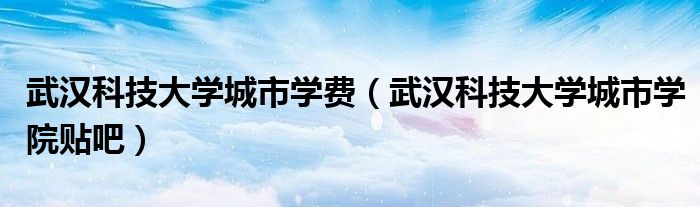 武漢科技大學(xué)城市學(xué)費（武漢科技大學(xué)城市學(xué)院貼吧）