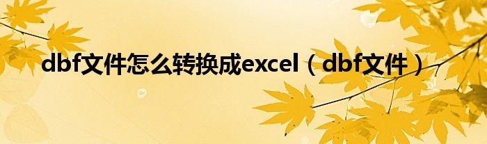 dbf文件怎么轉(zhuǎn)換成excel（dbf文件）