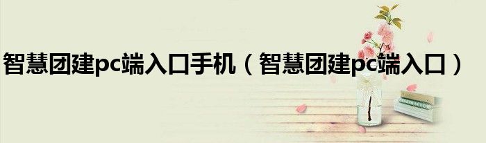 智慧團(tuán)建pc端入口手機(jī)（智慧團(tuán)建pc端入口）