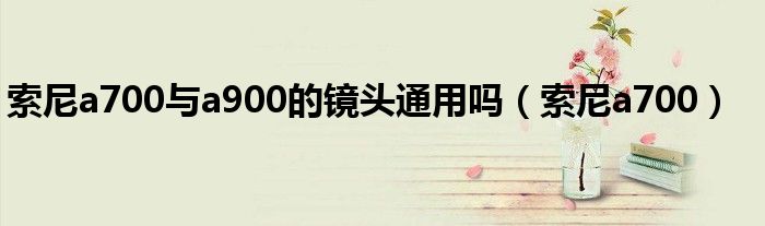 索尼a700與a900的鏡頭通用嗎（索尼a700）