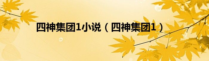 四神集團(tuán)1小說（四神集團(tuán)1）
