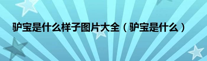 驢寶是什么樣子圖片大全（驢寶是什么）
