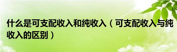 什么是可支配收入和純收入（可支配收入與純收入的區(qū)別）