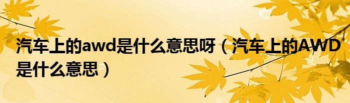 汽車上的awd是什么意思呀（汽車上的AWD是什么意思）