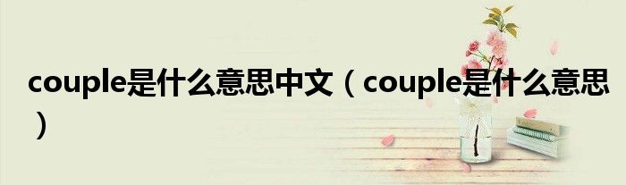 couple是什么意思中文（couple是什么意思）