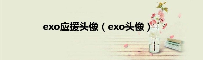 exo應(yīng)援頭像（exo頭像）