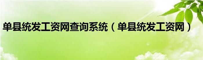 單縣統(tǒng)發(fā)工資網(wǎng)查詢系統(tǒng)（單縣統(tǒng)發(fā)工資網(wǎng)）