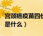 宮頸癌疫苗四價(jià)是什么意思（宮頸癌疫苗四價(jià)是什么）