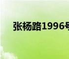 張楊路1996號(hào)怎么走（張楊路1996號(hào)）