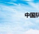 中國隊世界杯預(yù)選賽成績