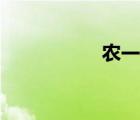 農(nóng)一師政委（農(nóng)一師）