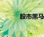 股市黑馬王子是誰(shuí)（股市黑馬）