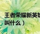 王者榮耀新英雄叫什么名字（王者榮耀新英雄叫什么）