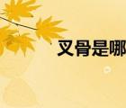 叉骨是哪里（叉骨是哪個位置）