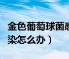 金色葡萄球菌感染是怎么引起的（葡萄球菌感染怎么辦）