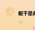 軀干是身體哪個位置（軀干）