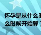 懷孕是從什么時候開始算第一天（懷孕是從什么時候開始算）