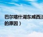 巴爾喀什湖東咸西淡的原因地理大題（巴爾喀什湖東咸西淡的原因）