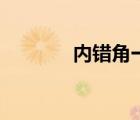 內(nèi)錯角一定相等嗎（內(nèi)錯角）