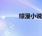 綜漫小說推薦（綜漫修心之旅）