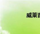 威萊音響怎么樣（威萊）