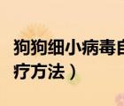 狗狗細(xì)小病毒自己怎么治療（狗狗細(xì)小自己治療方法）