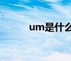 um是什么單位（單位符號大全）
