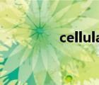 cellular-z下載（celluar）