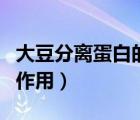 大豆分離蛋白的作用和功效（大豆分離蛋白的作用）