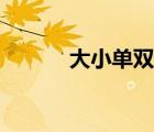大小單雙正規(guī)平臺(tái)（大小單雙）