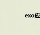 exo應(yīng)援頭像（exo頭像）