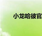 小龍哈彼官網(wǎng)價格（小龍哈彼官網(wǎng)）