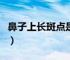 鼻子上長斑點是什么原因引起的（鼻子上長斑）