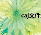 caj文件怎么打開(kāi)（asp文件）