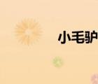 小毛驢簡(jiǎn)譜（捉泥鰍簡(jiǎn)譜）