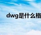 dwg是什么格式文件（dwg是什么格式）