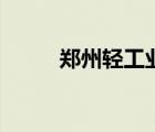 鄭州輕工業(yè)大學(xué)（鄭州輕工學(xué)院）