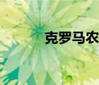 克羅馬農(nóng)人化石（克羅馬農(nóng)人）